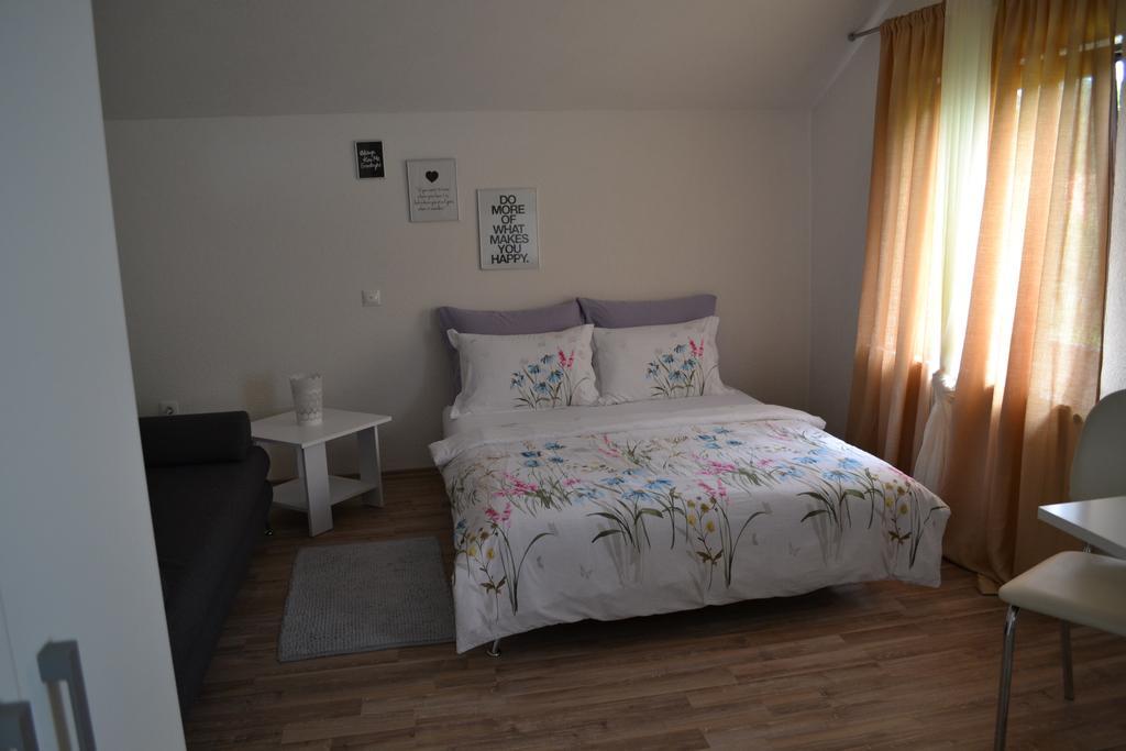 Guesthouse Zalac سلوني المظهر الخارجي الصورة