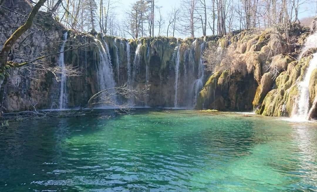 Guesthouse Zalac سلوني المظهر الخارجي الصورة